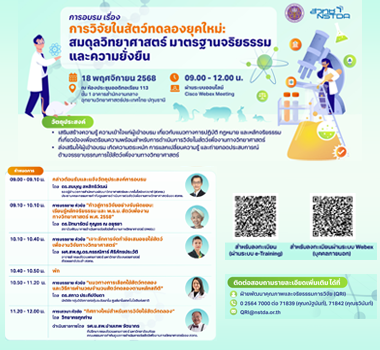 Second slide